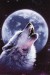 13600~Howling-Wolf-Posters.jpg